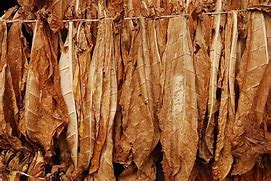 Image result for Real Leaf Tobacco