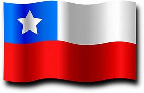 Image result for Chile Flag Logo