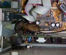 Image result for Mouse Dead Battery