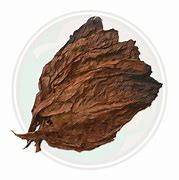 Image result for Tobacco Leaf with Plume