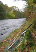 Image result for Salmon Tackle