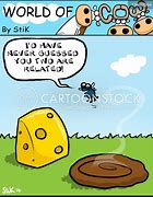 Image result for Cow Poo