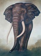 Image result for Elephant Warrior Art