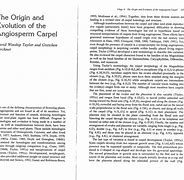 Image result for Angiosperm Carpel