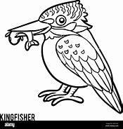 Image result for Kingfisher Color