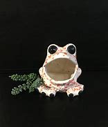 Image result for Frog Sink Sponge Holder