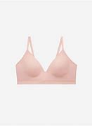 Image result for 30 G Plus Bra