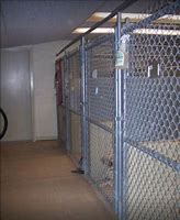 Image result for Owl Hollow Kennels Alabama