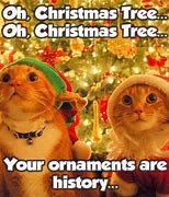 Image result for Animal Christmas Funny Cats