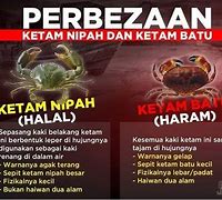 Image result for Ketam Dua Alam