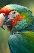 Image result for Tropical Parrot Painting