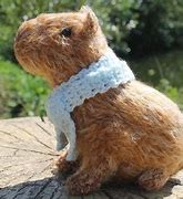 Image result for Guinea Pig Plushie