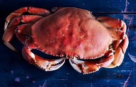 Image result for Crab Medicine