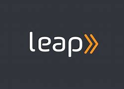 Image result for Leap Logo Small