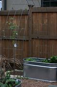 Image result for Hog Wire Trellis