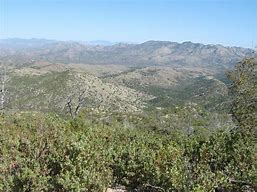 Image result for Mica Mountain AZ Hikes