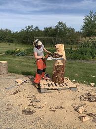 Image result for Basic Chainsaw Carving