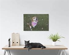 Image result for 16X24 Frame