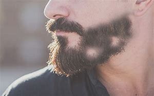 Image result for Growing Out a Patchy Beard