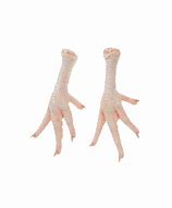 Image result for Chicken Feet Parts