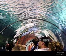 Image result for Mirimar Sewer Tunnel Blueprint Map San Diego