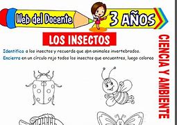 Image result for Insectos Actividades Para Pre Escolar