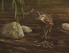 Image result for Brook Trout Art