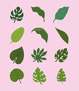 Image result for Leaf Colka Design