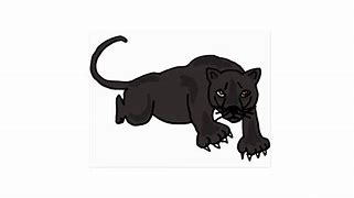 Image result for Leaping Panther