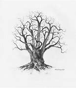 Image result for Tree Sketch