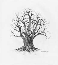 Image result for Tree Pencil Sketch