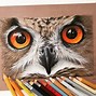 Image result for White Owl Animal