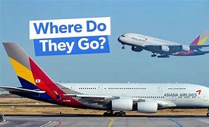 Image result for Asiana Air A380