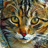 Image result for Sony Cat Art