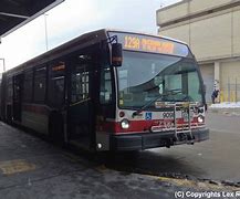 Image result for 903 TTC Bus