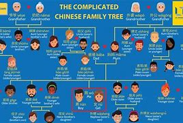 Image result for Chinese Taxonomy