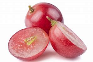 Image result for Grape Seed Lil