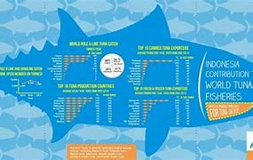 Image result for Tuna Breeds