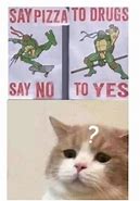 Image result for Cat Quest Meme