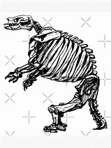 Image result for Giant Ground Sloth Skeleton