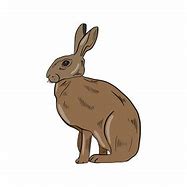 Image result for Free Resizable Clip Art Hare