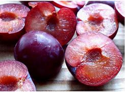 Image result for Plum Ripeness