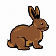 Image result for Amami Rabbit Cartoon