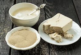 Image result for Yeast Allergy