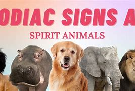 Image result for Spirit Animals for Zodiac Signs