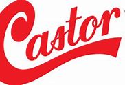 Image result for Castor Seed Logo