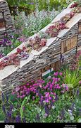 Image result for Wildlife Wall Placqus