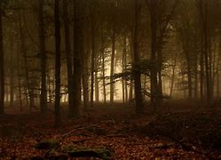 Image result for Dark Forest Background Art