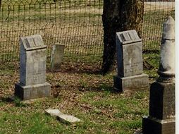 Image result for Brown Tombstones