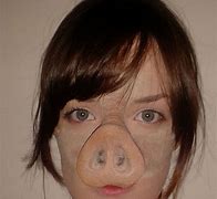 Image result for Pig Nose Prosthetic